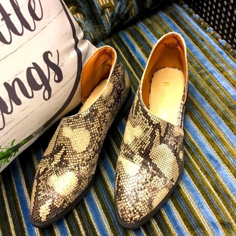 🛍️ 6 Snake skin shoes
